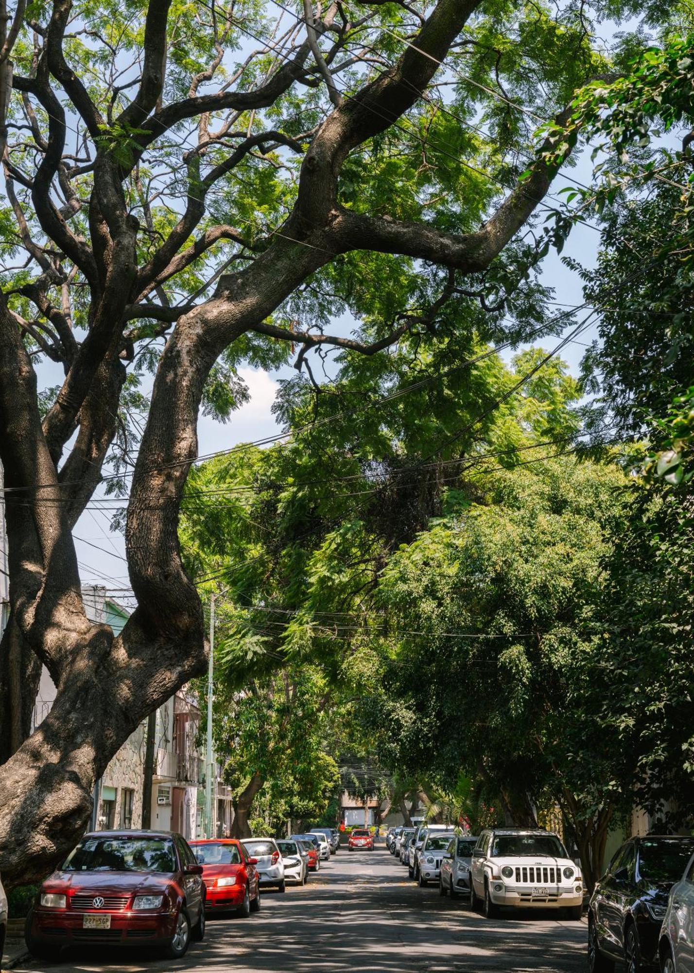 Sonder Miravalle Mexico City Ngoại thất bức ảnh